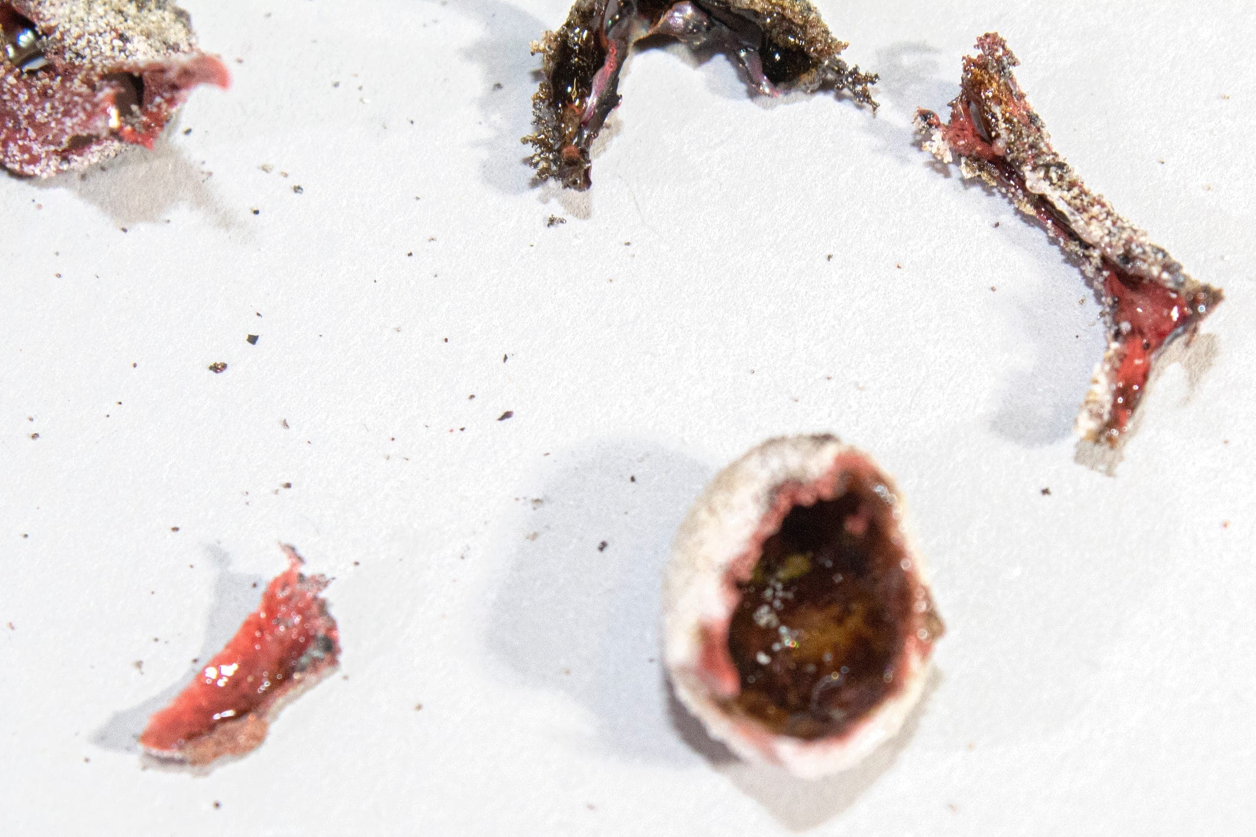 Aeolian Materiality — research