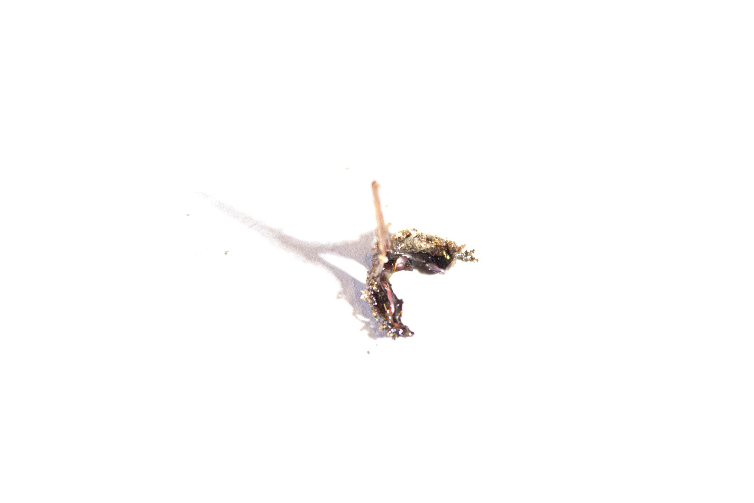 Aeolian Materiality — research