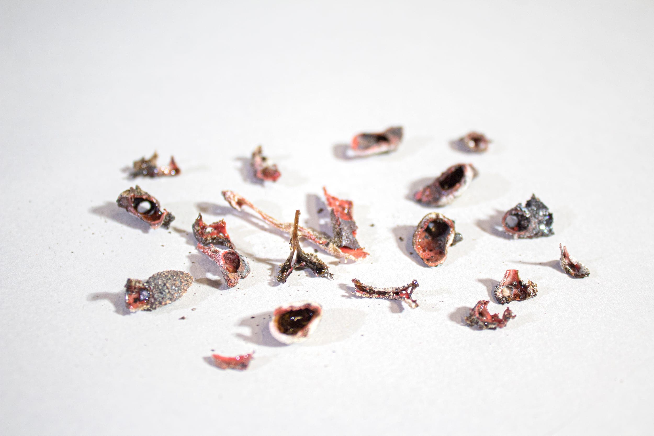 Aeolian Materiality — research
