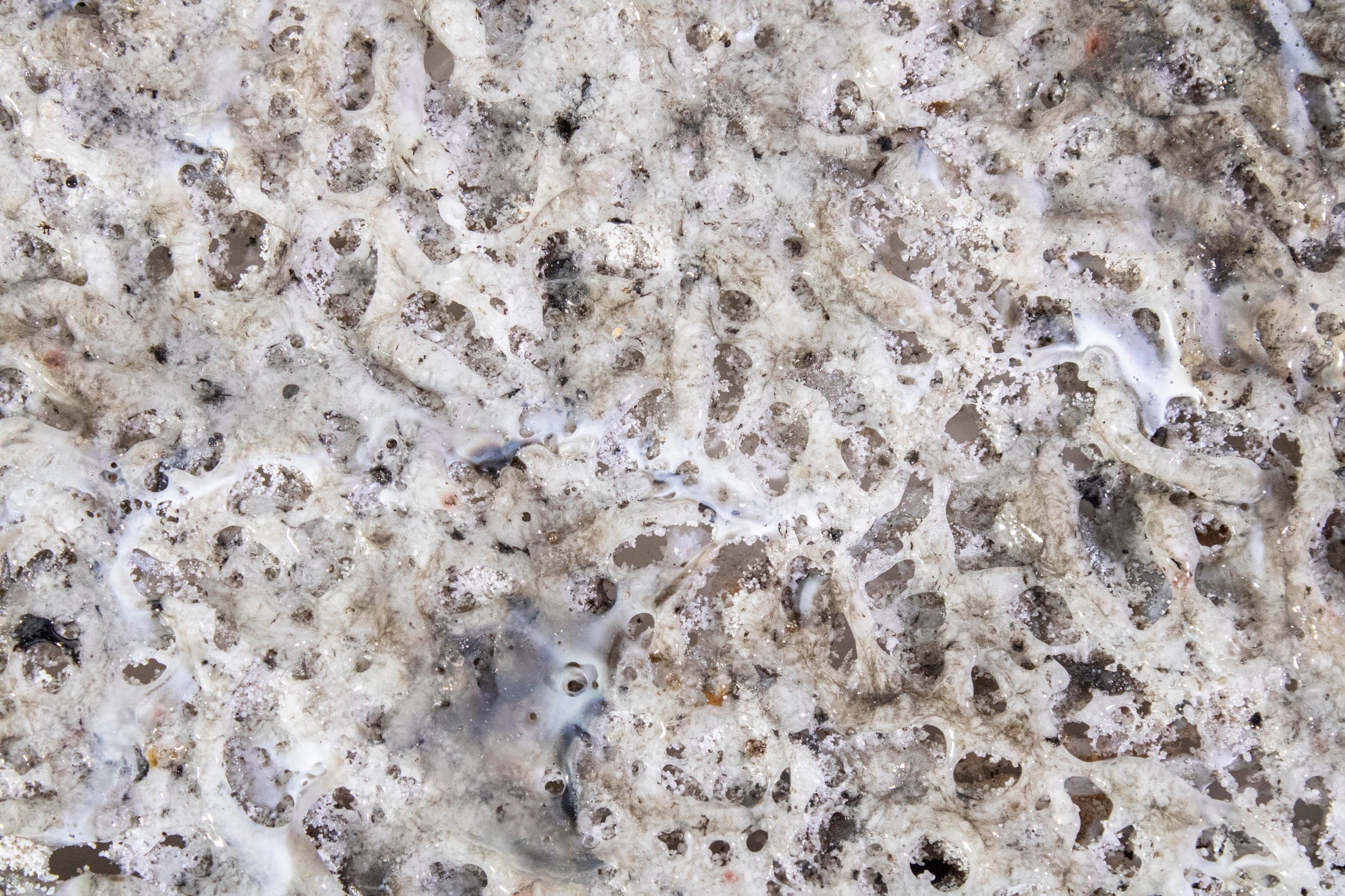 Aeolian Materiality — research