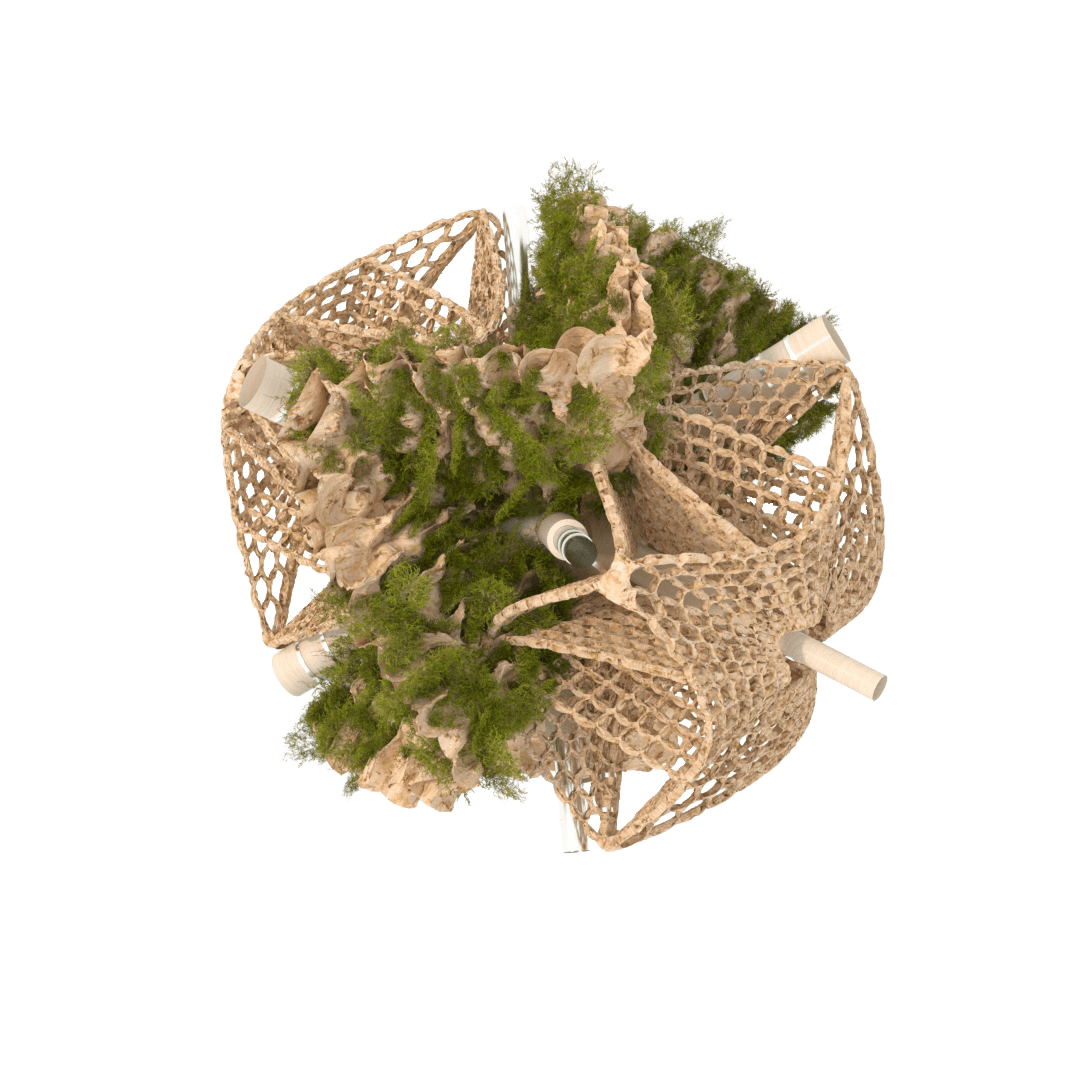 Collection / Filtration Module