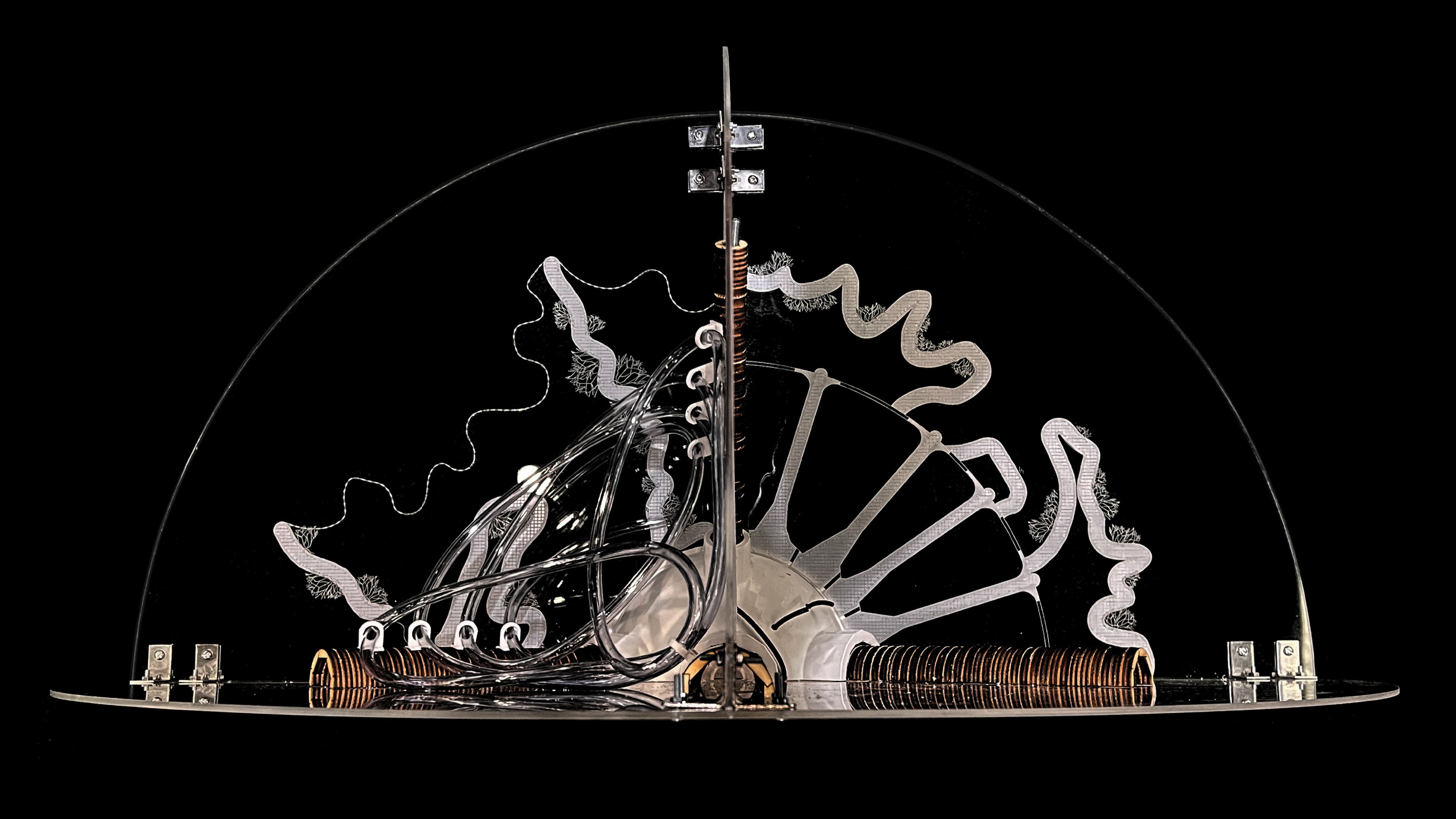 BIO_BOT — render