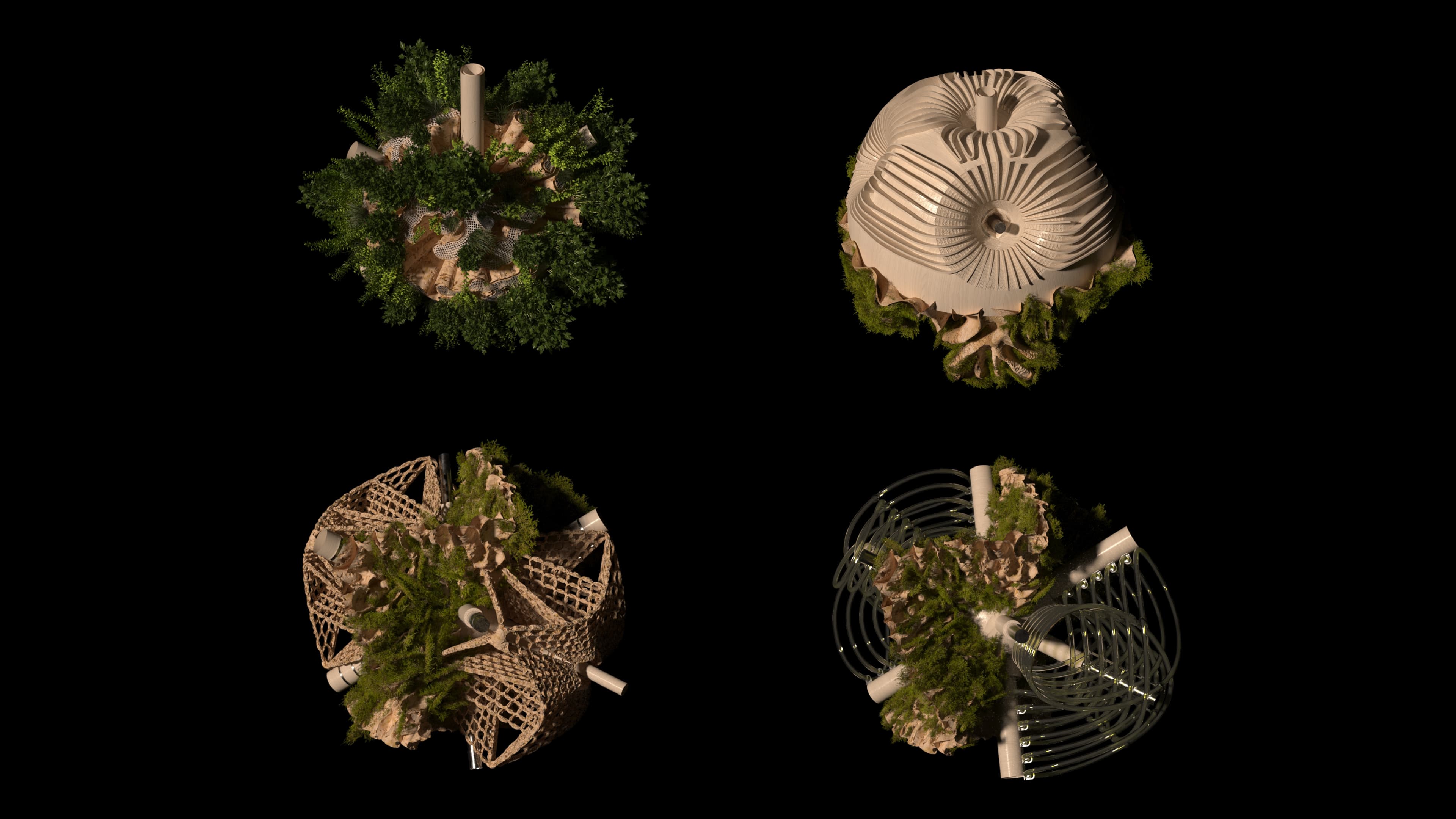 BIO_BOT — render