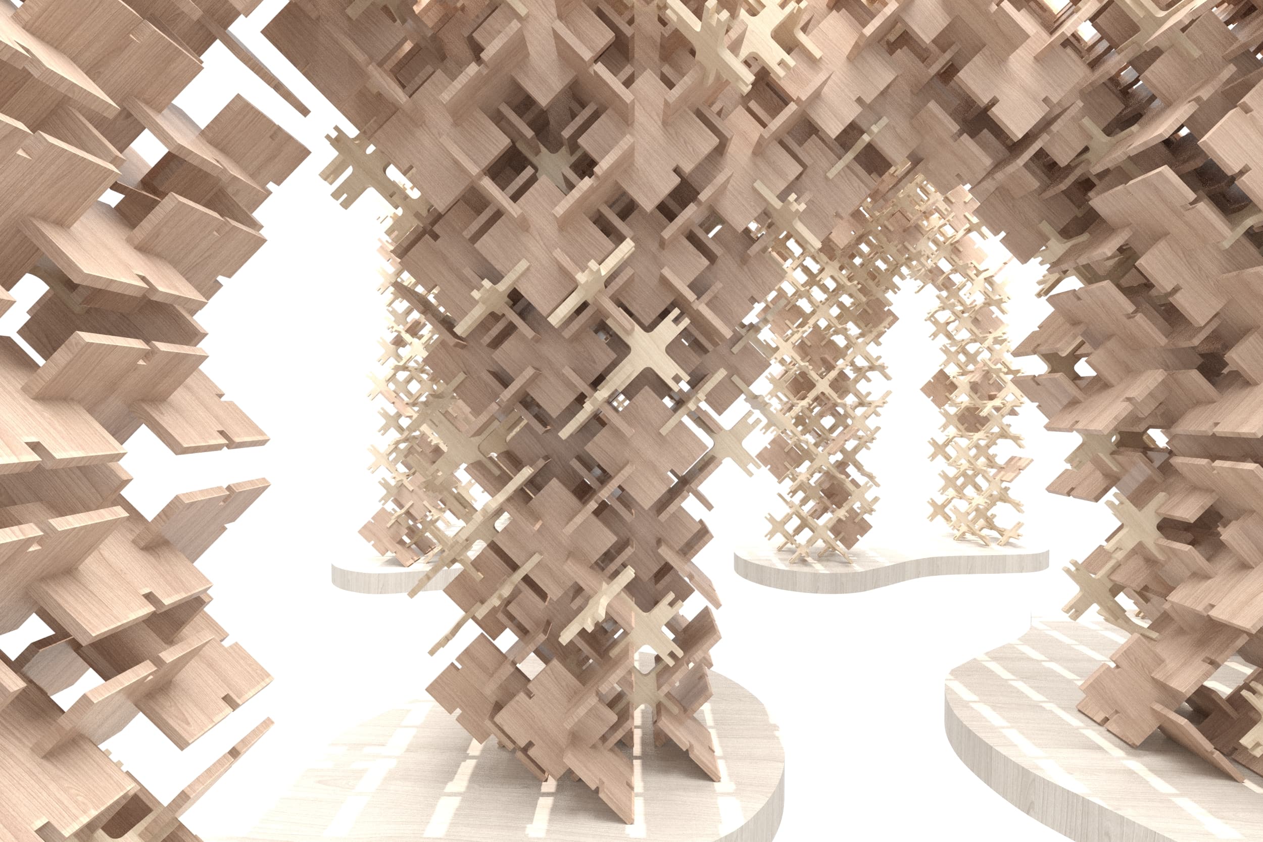 Discrete Entities — model photo