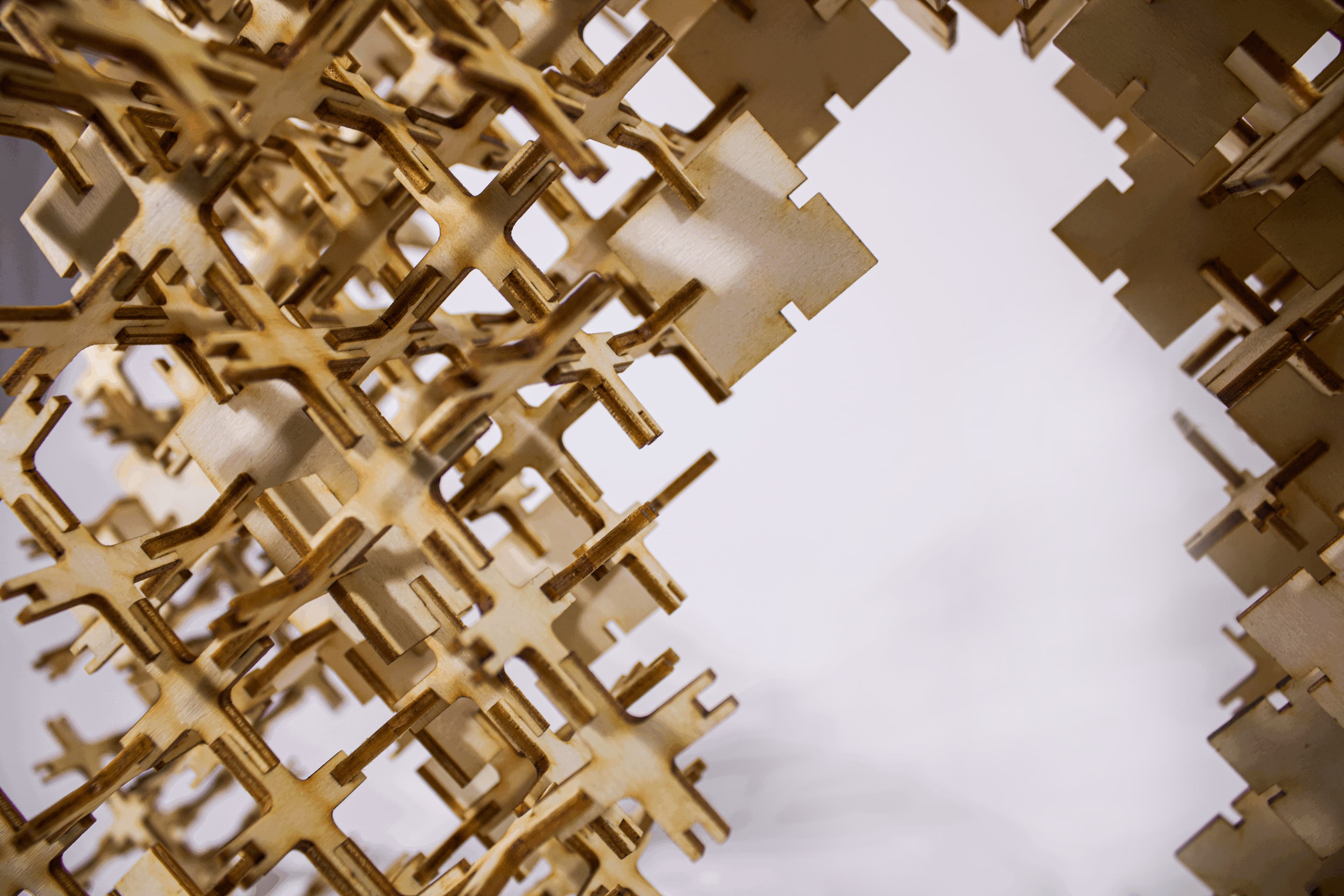 Discrete Entities — model photo
