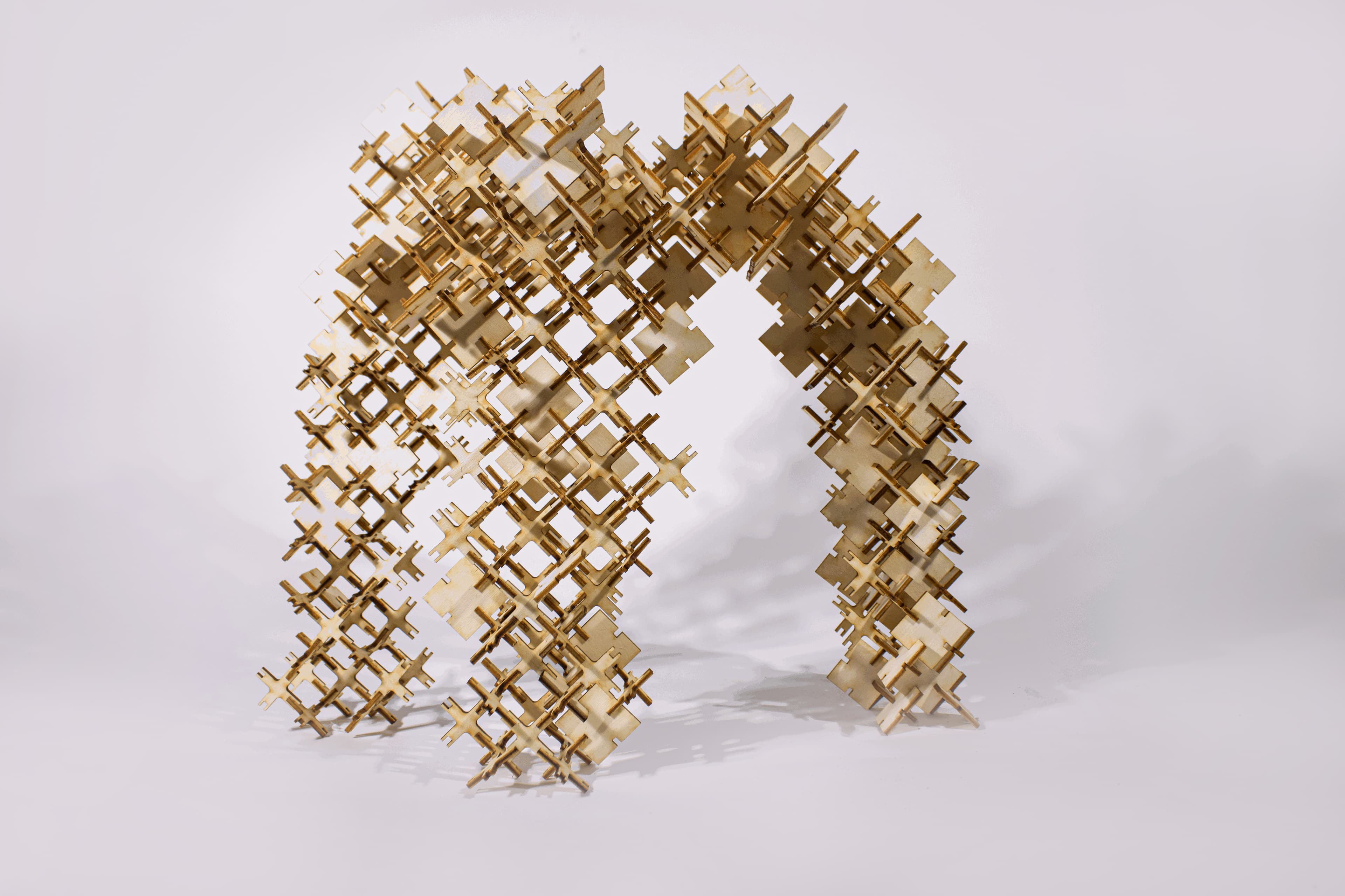 Discrete Entities — model photo