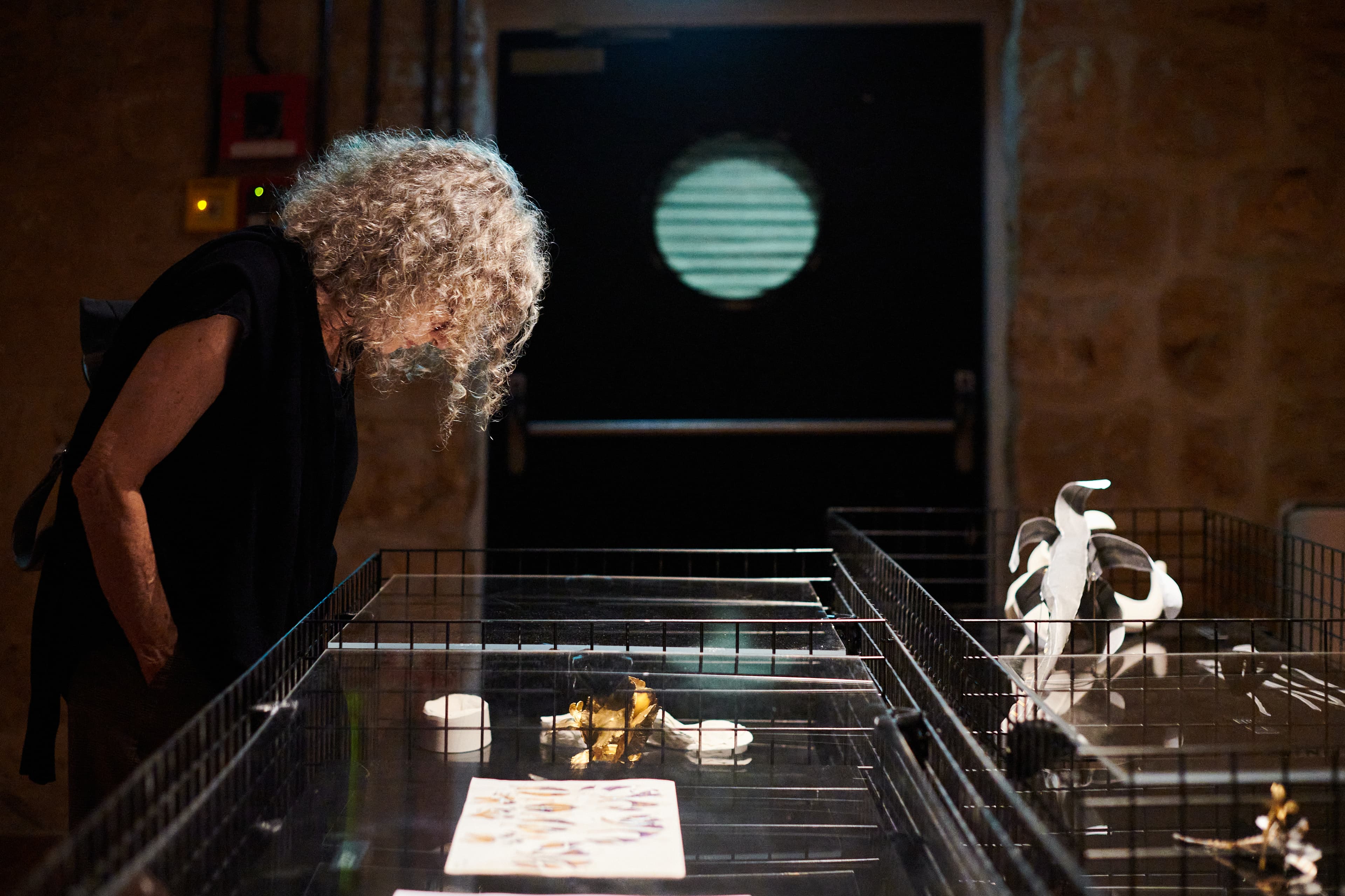Vaults of Life — people engaging with displayed objects