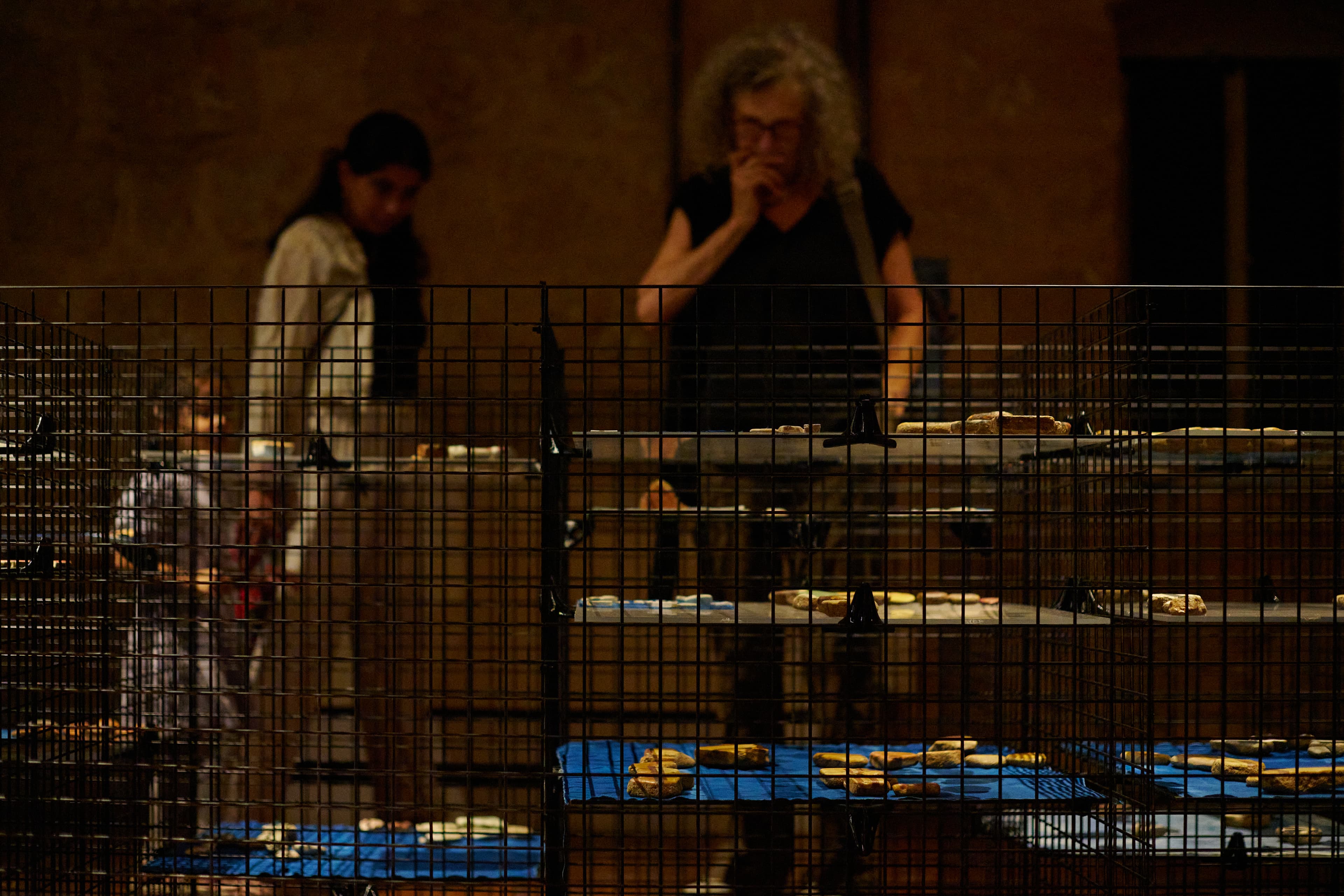 Vaults of Life — visitor in dark exhibition room