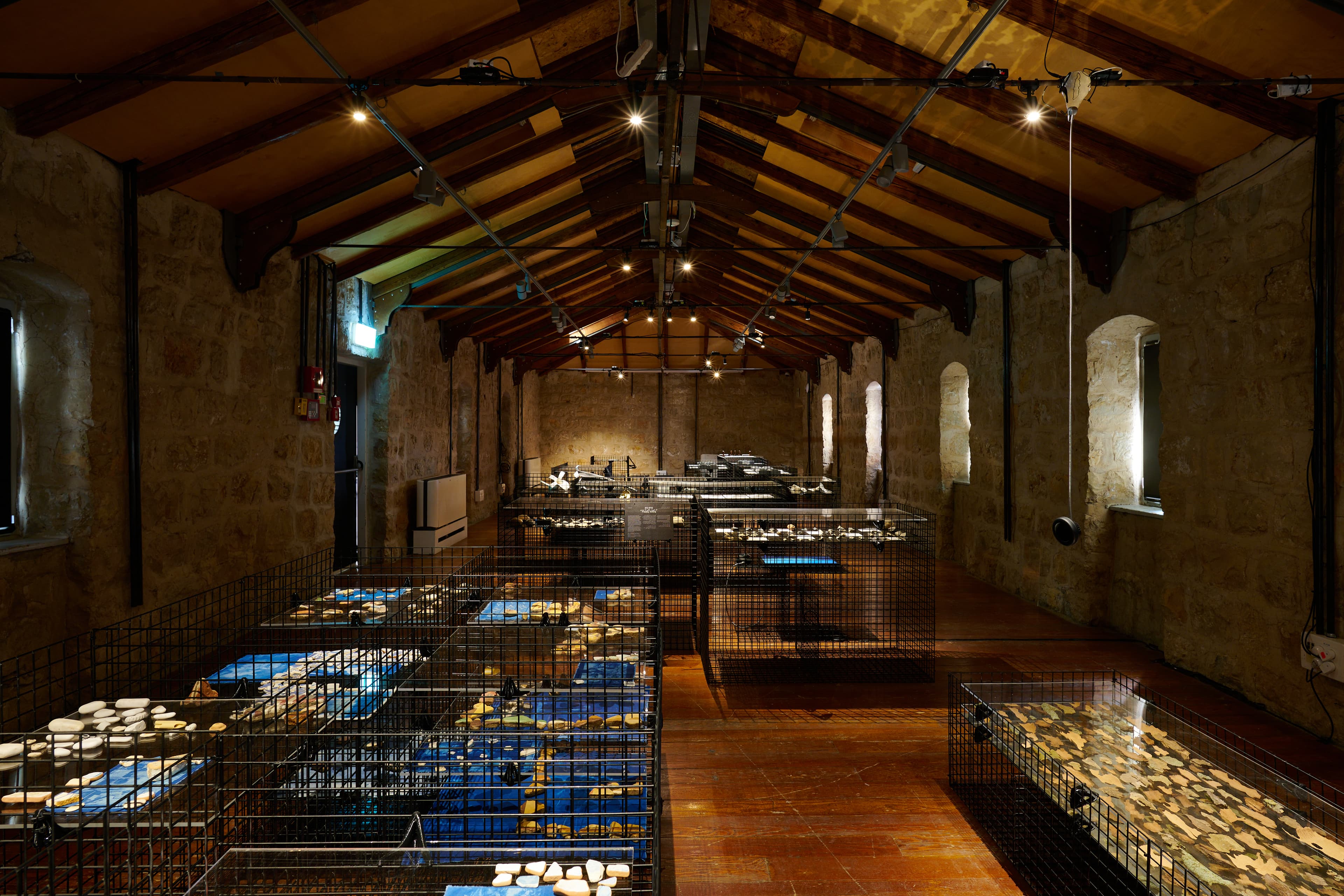 Vaults of Life — object display