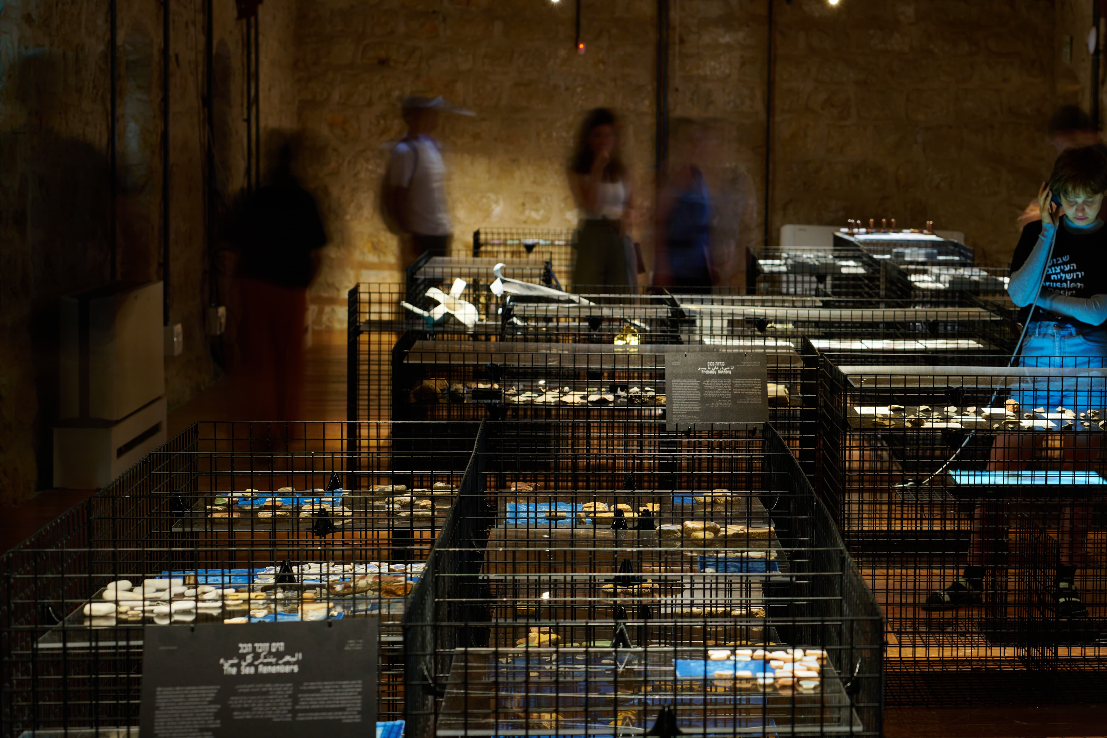 Vaults of Life — exhibition atmosphere