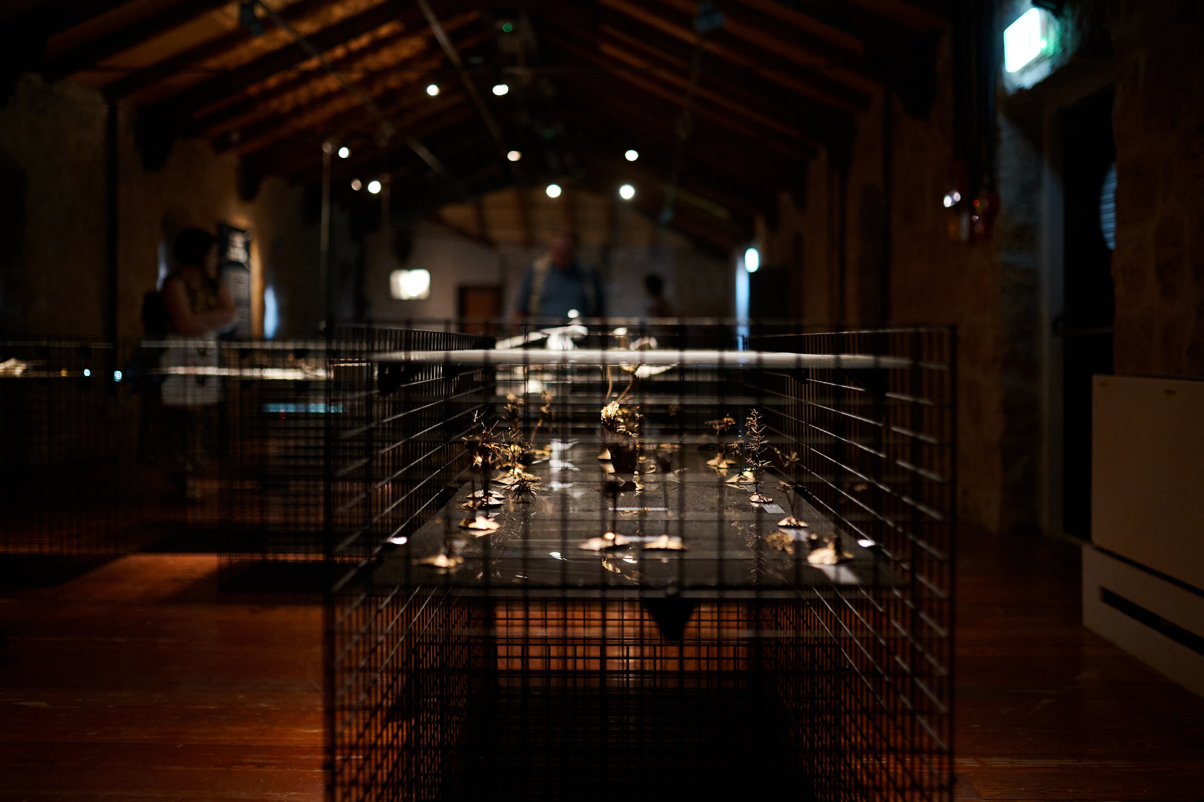 Vaults of Life — exhibition closing view