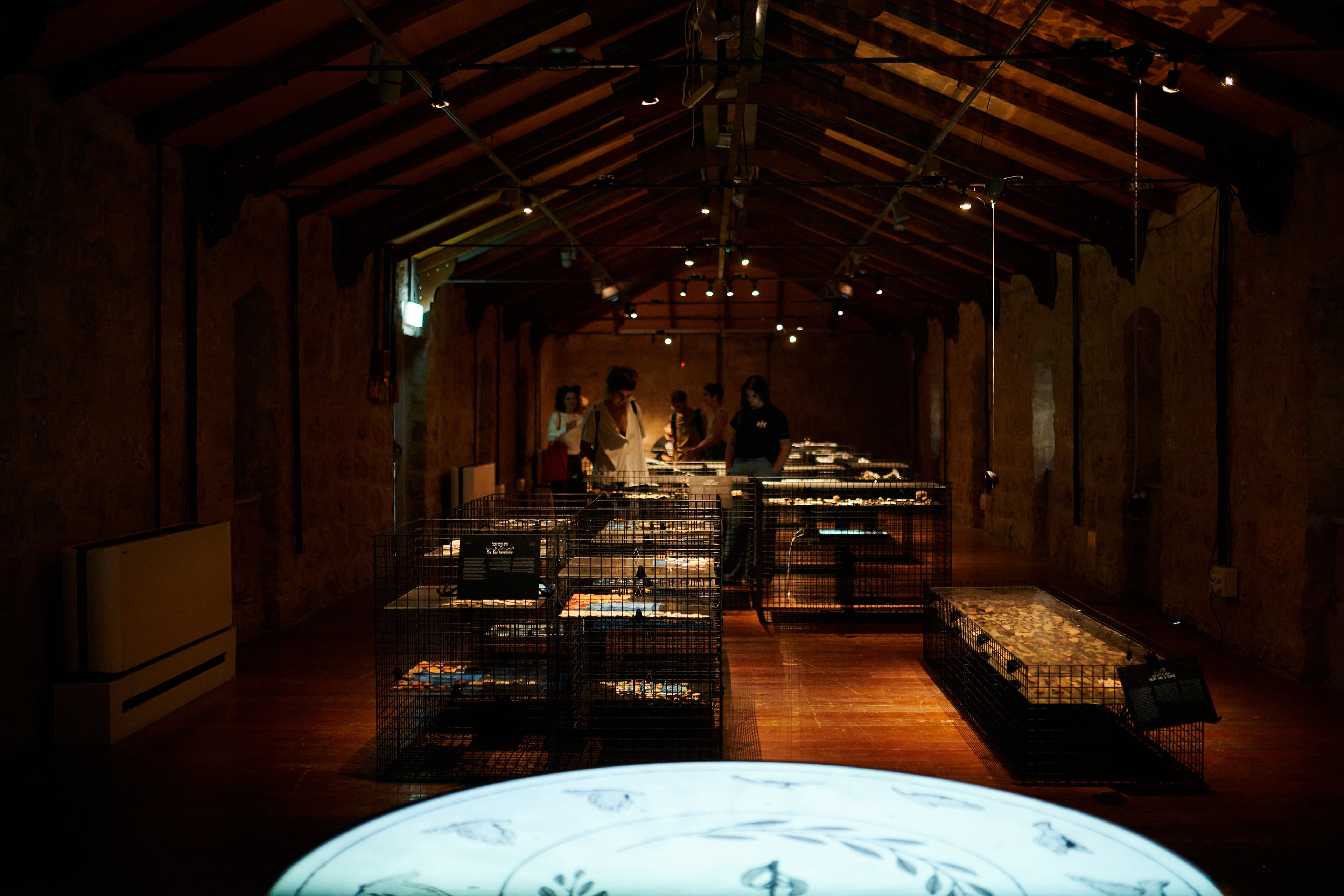 Vaults of Life — installation overview