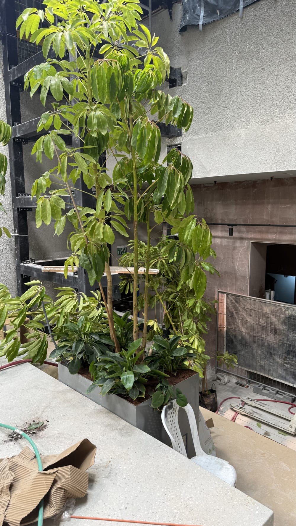 LYN Business Yard — construction site 10