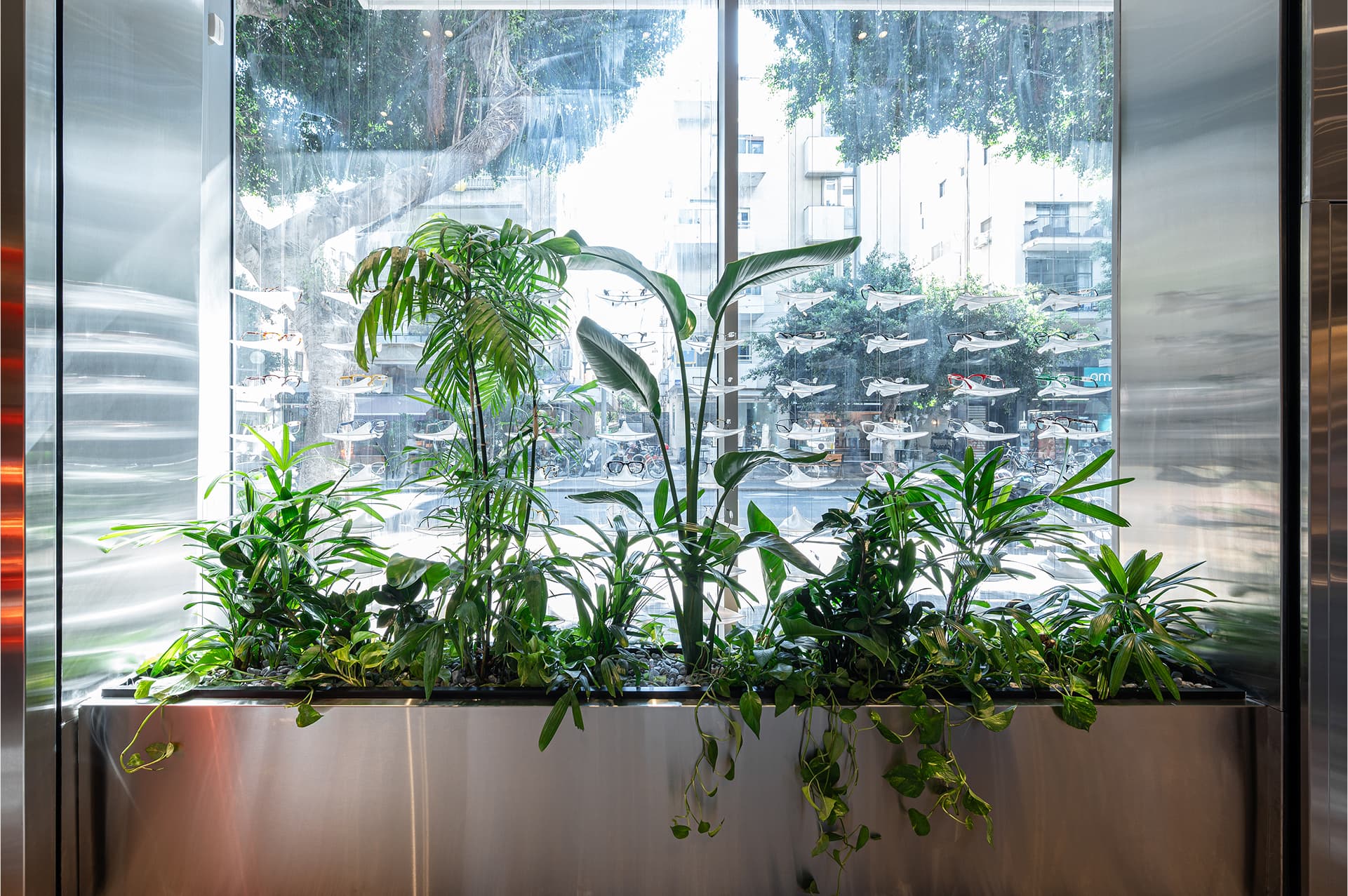 Plants in window — stainless steel reflection