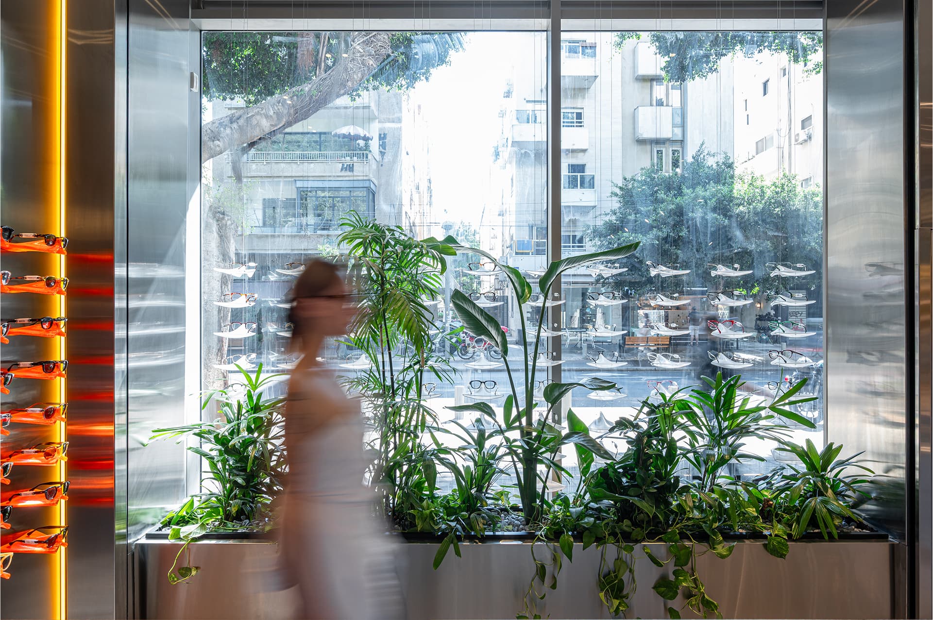 Plants in window niche with city beyond