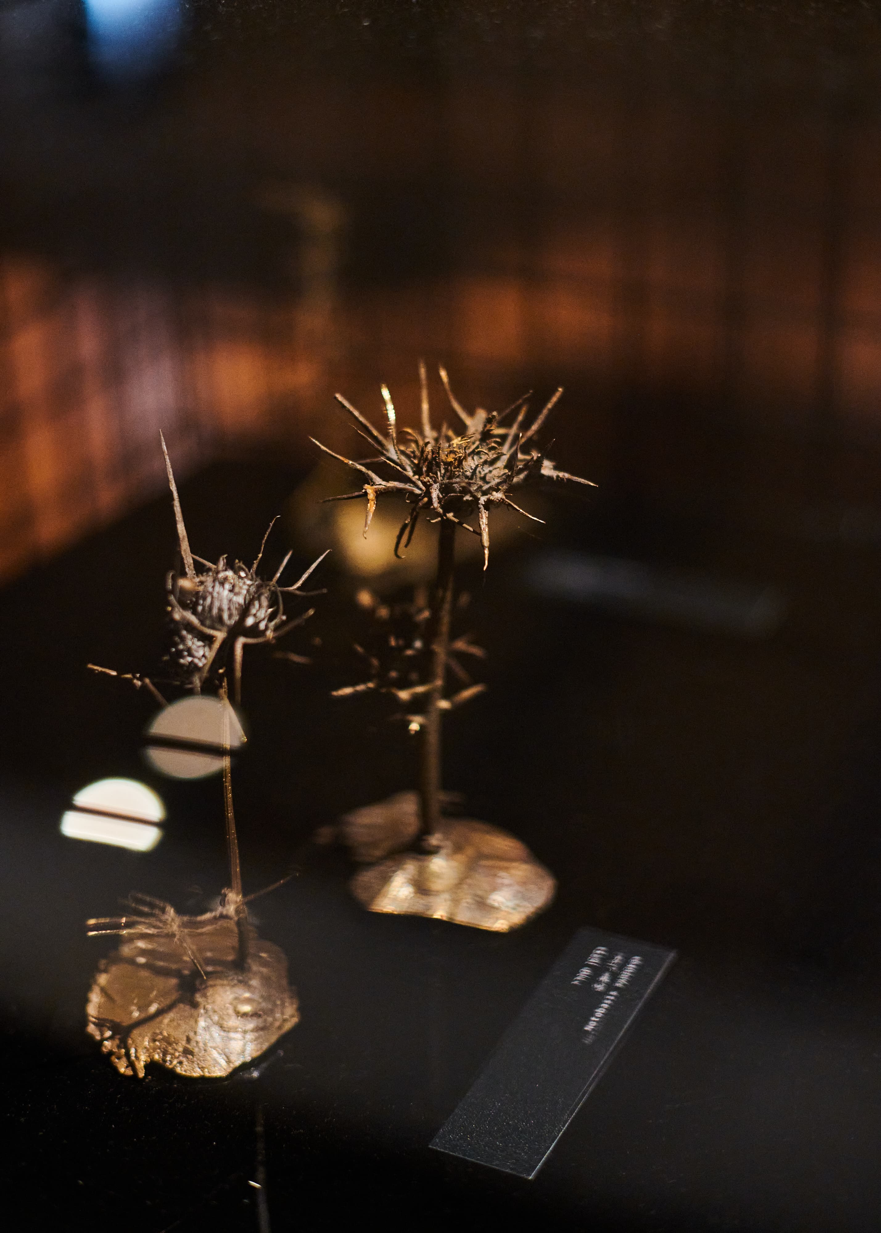 Vaults of Life — collection under directed light