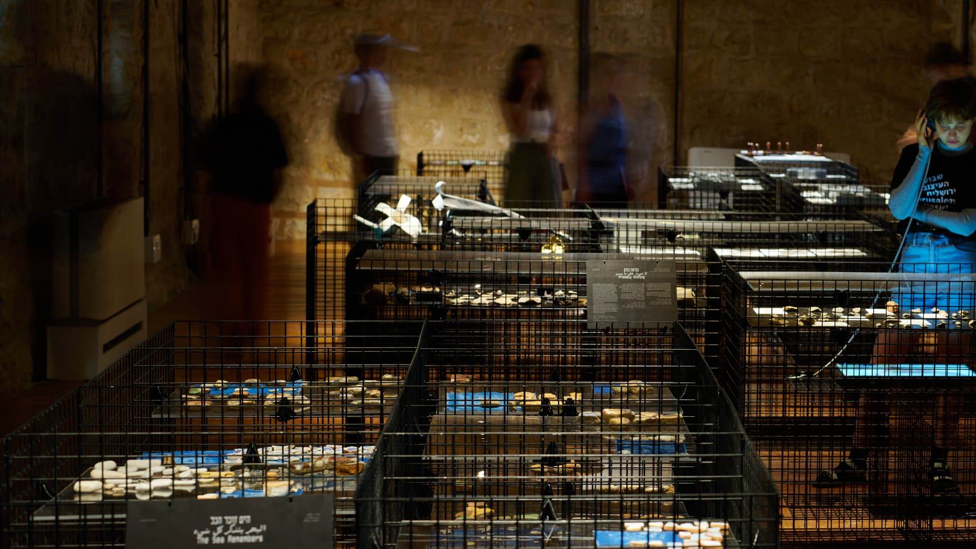 Vaults of Life — exhibition installation