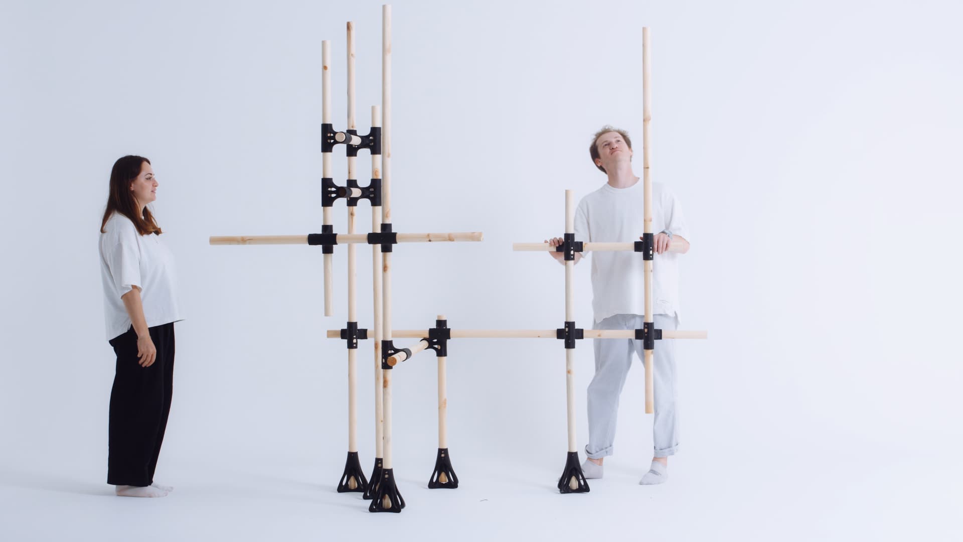 Parasite — modular system assembly