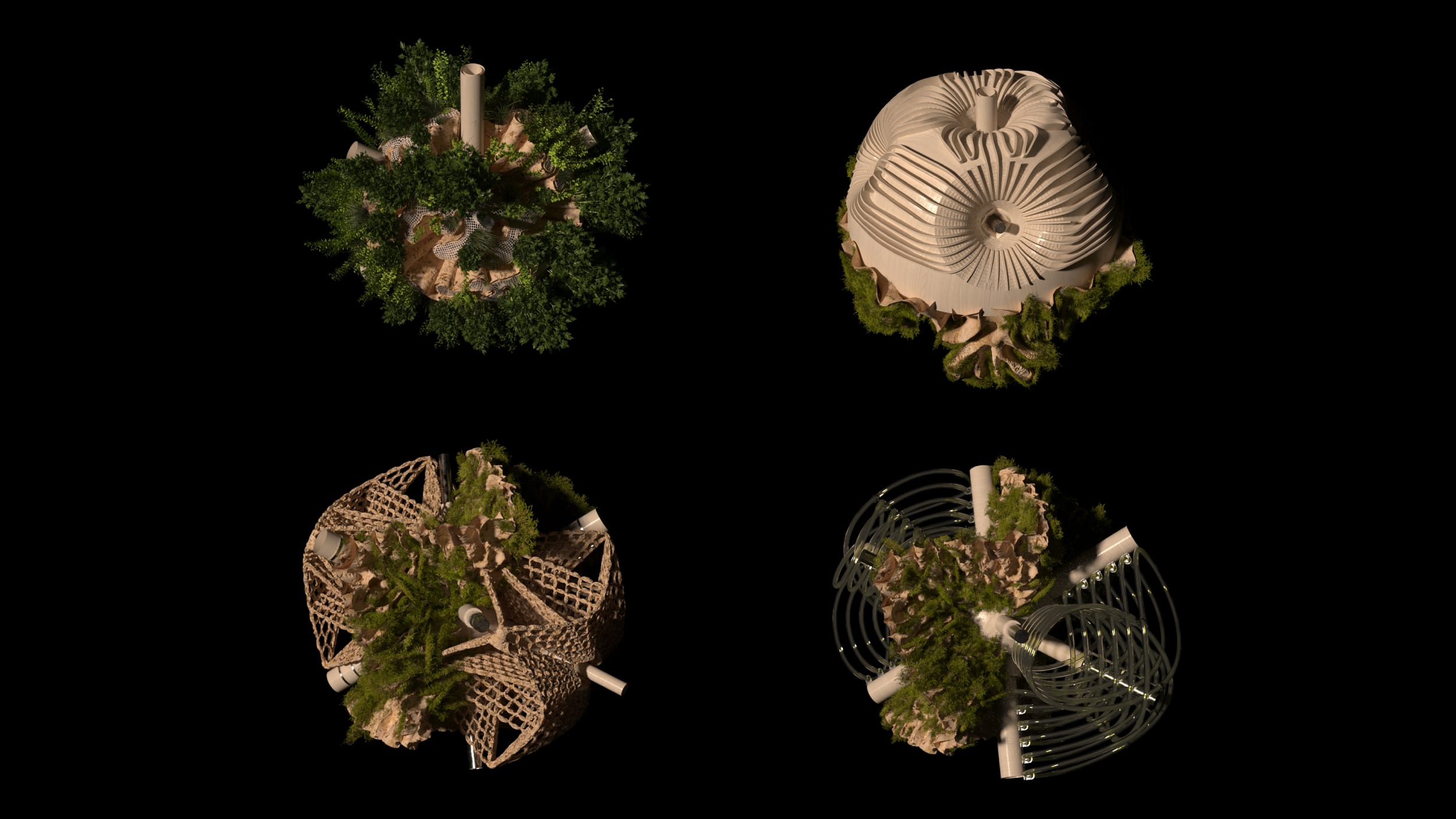 BIO_BOT — render