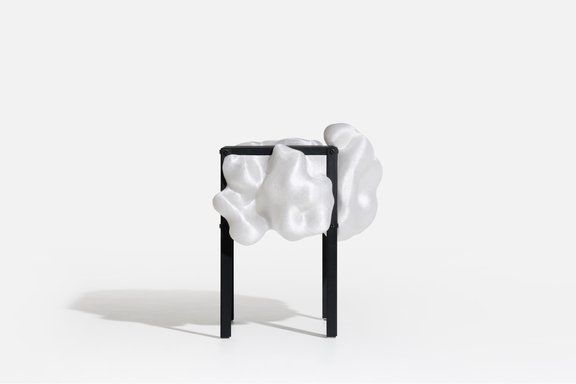 Parasite — installation view