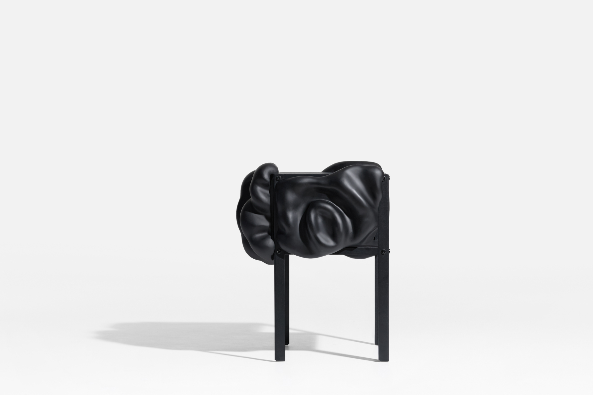 Parasite — ambient installation